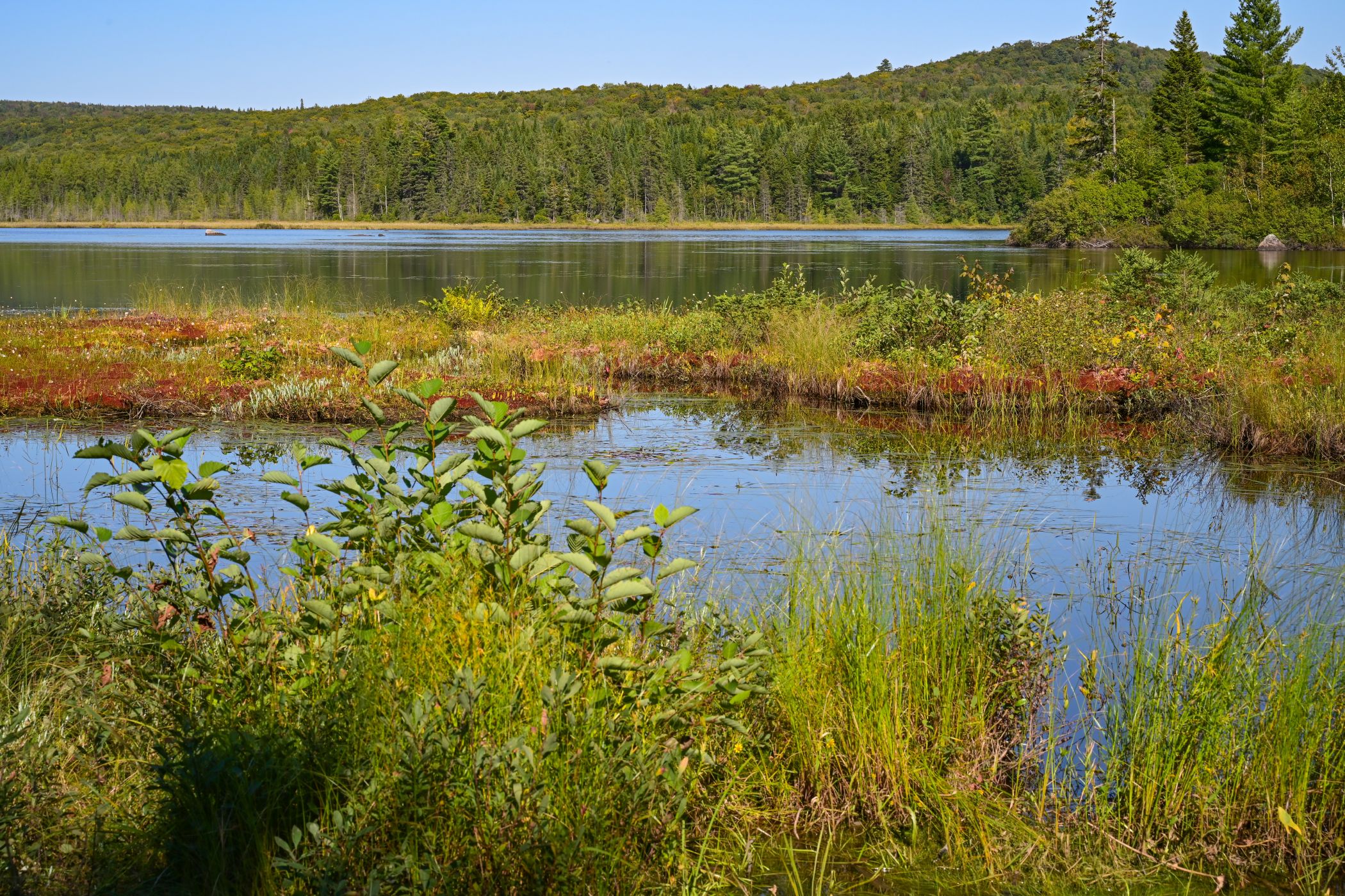 Les milieux naturels de la Sagamité