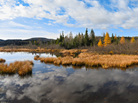 La réserve naturelle des Marais du Nord