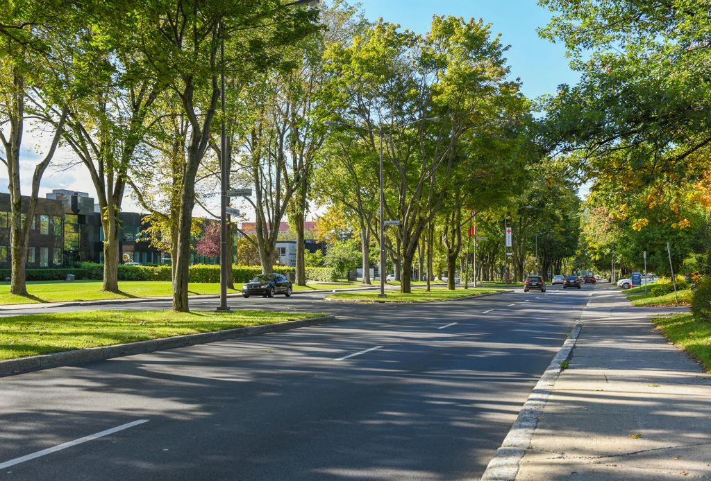 Vue du quartier Belvédère